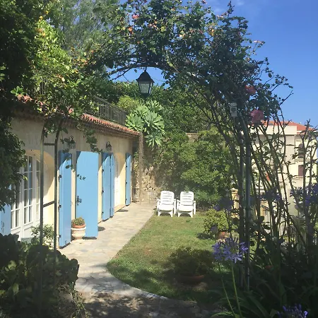 Provenzale