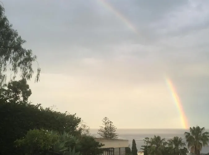 Provenzale سانريمو