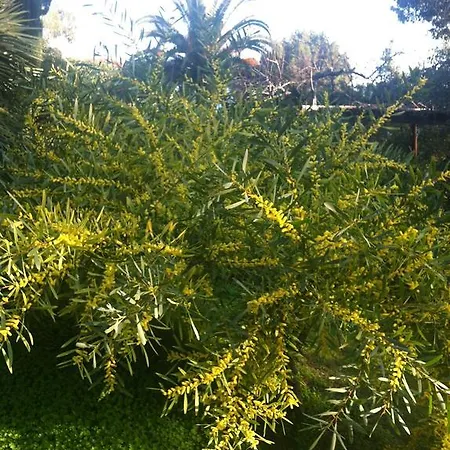 Διαμέρισμα Provenzale