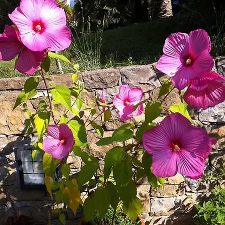 Provenzale Διαμέρισμα