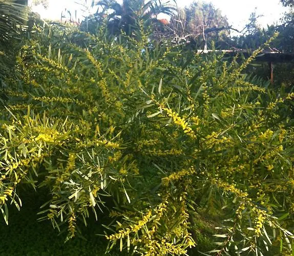 Apartment Provenzale